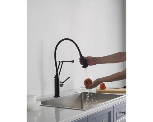 Смеситель для кухни Aquatek Европа AQ1388MB Черный матовый