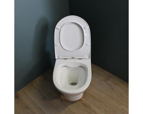 Унитаз Maretti Ritta RI10PBM53-844 подвесной с сиденьем Микролифт