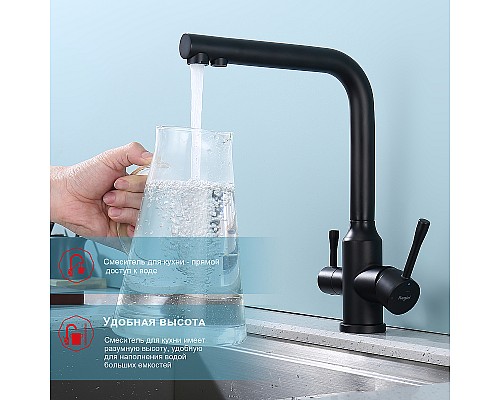 Смеситель для кухни Raglo R81.61.06 Черный матовый