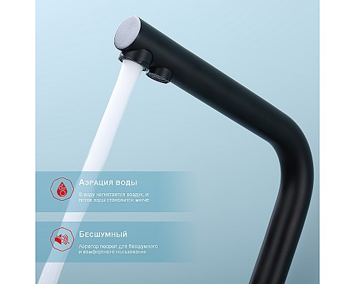 Смеситель для кухни Raglo R81.61.06 Черный матовый