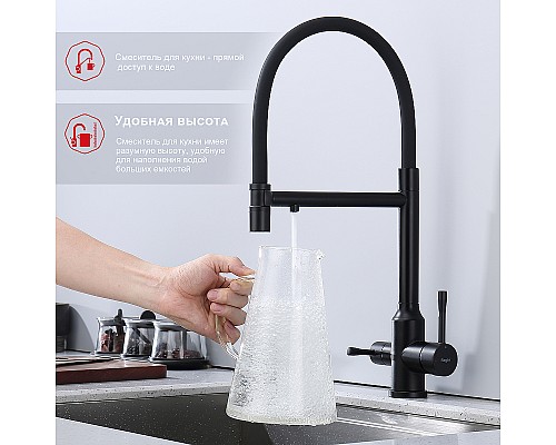 Смеситель для кухни Raglo R81.63.06 Черный матовый