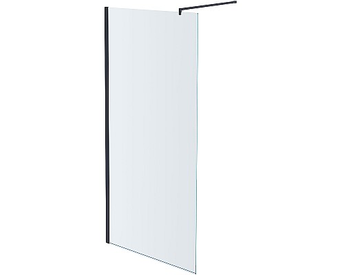 Душевая перегородка Aquatek 100 AQ WIW Print 10020BL профиль Черный стекло прозрачное