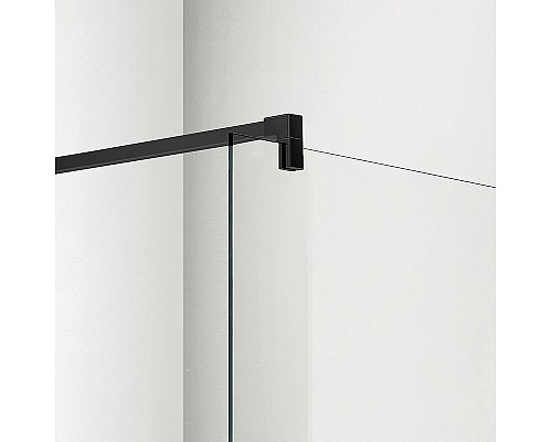 Душевая перегородка Aquatek 100 AQ WIW Print 10020BL профиль Черный стекло прозрачное