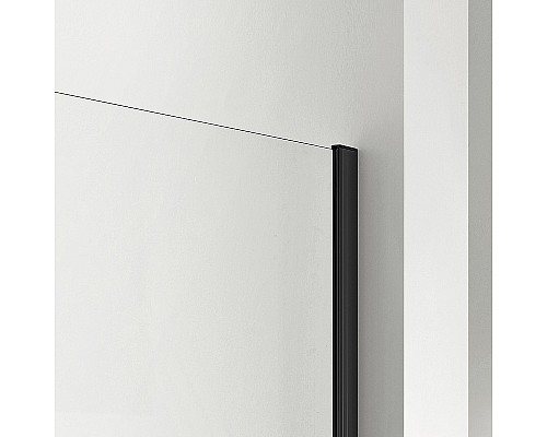 Душевая перегородка Aquatek 100 AQ WIW Print 10020BL профиль Черный стекло прозрачное