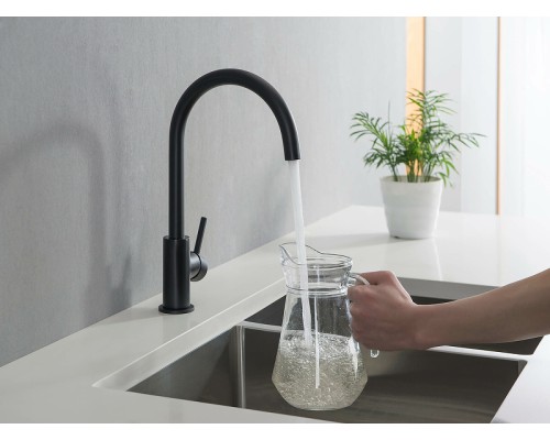 Смеситель для кухни Aquatek Европа AQ1382MB Черный матовый