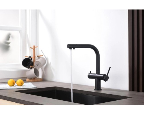 Смеситель для кухни Aquatek Европа AQ1385MB Черный матовый
