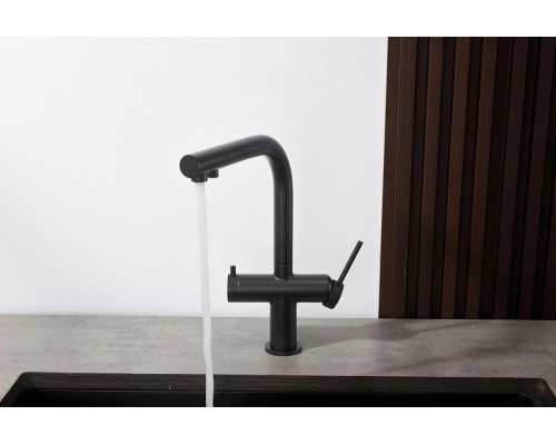 Смеситель для кухни Aquatek Европа AQ1385MB Черный матовый