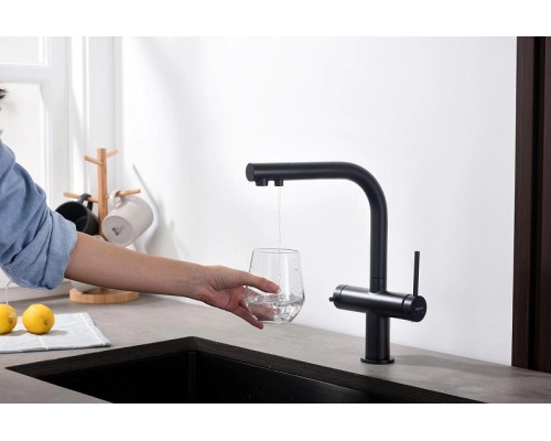 Смеситель для кухни Aquatek Европа AQ1385MB Черный матовый