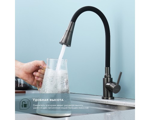 Смеситель для кухни Splenka S201.4306.09 Графит матовый Черный