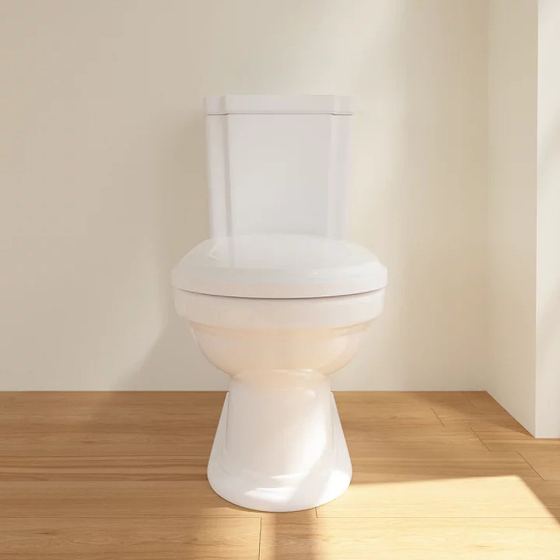 Унитаз круглый напольный. Унитаз напольный Villeroy&Boch hommage (чаша) 666210r1. Унитаз Villeroy & Boch hommage 666210r1. 666210r1. Унитаз Villeroy Boch hommage.